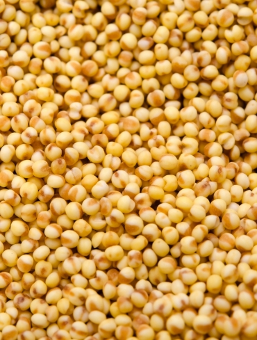 Kodri Organic Kodo Millet – Shridham Global Ventures